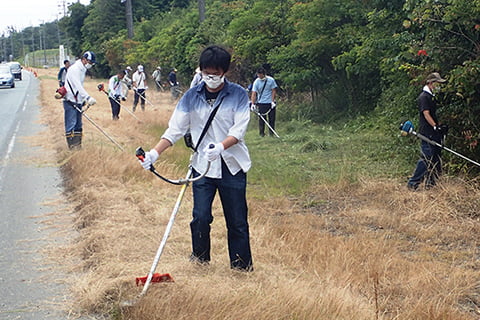 Mowing Adapt Road