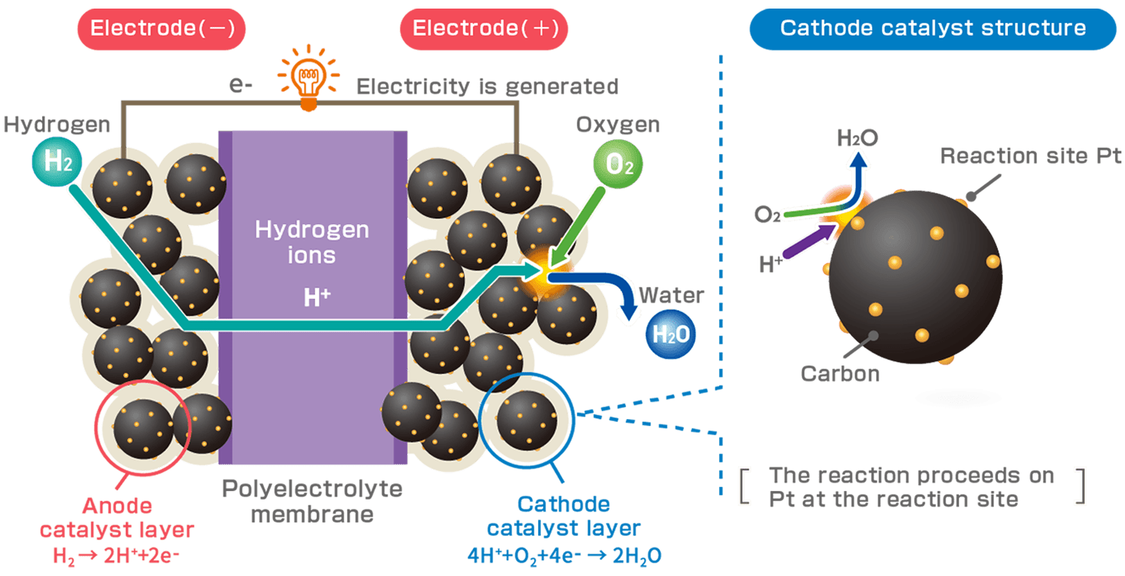 Polyelectrolyte membrane Cathode catalyst structure