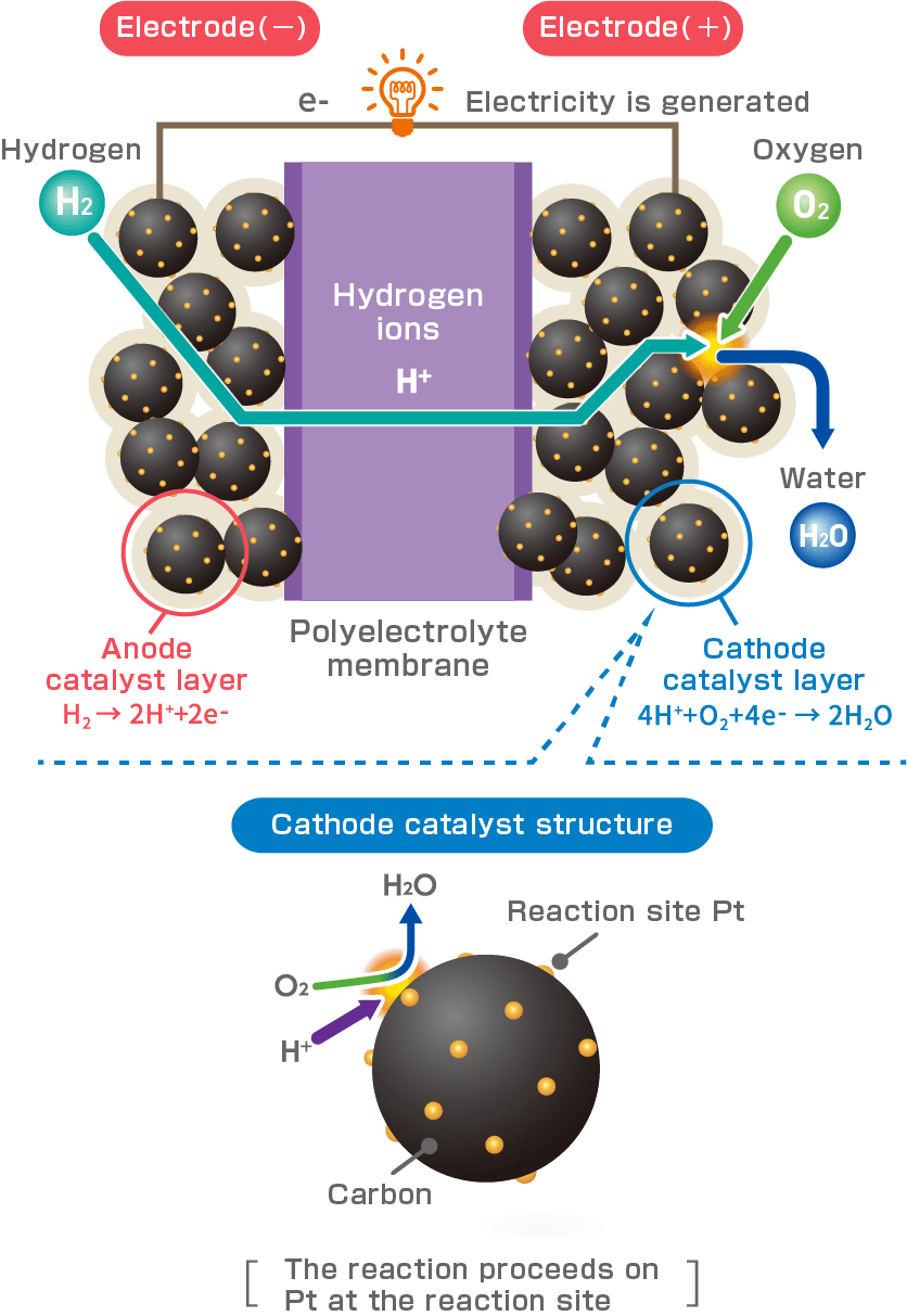 Polyelectrolyte membrane Cathode catalyst structure